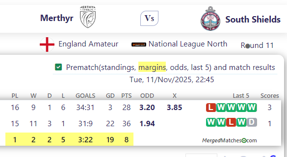 Merthyr Town Vs South Shields screenshot