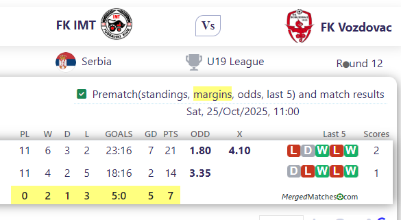 FK IMT Vs FK Vozdovac screenshot