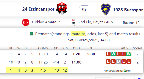 24 Erzincanspor Vs 1928 Bucaspor screenshot