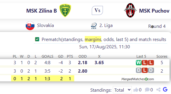 MSK Zilina B Vs MSK Puchov screenshot