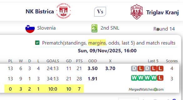 NK Bistrica Vs Triglav Kranj screenshot