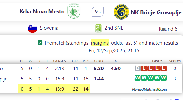 Krka Novo Mesto Vs NK Brinje Grosuplje screenshot