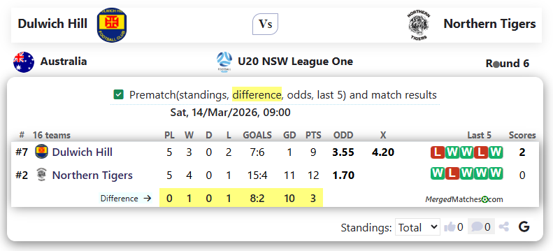 Dulwich Hill Vs Northern Tigers screenshot