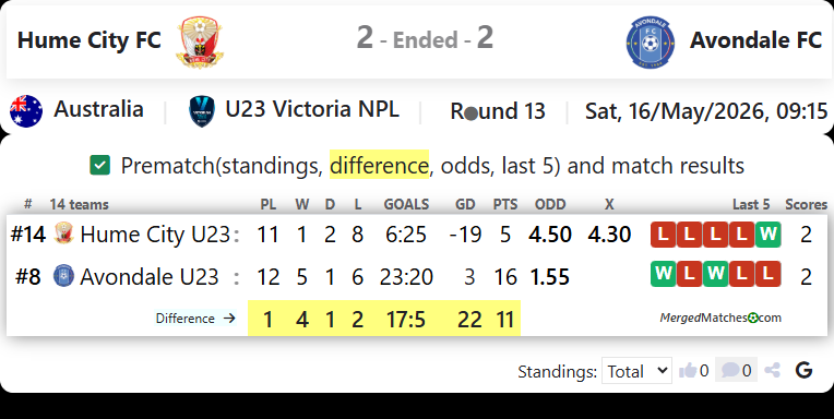 Hume City FC Vs Avondale FC screenshot