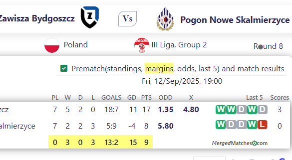 Zawisza Bydgoszcz Vs Pogon Nowe Skalmierzyce screenshot