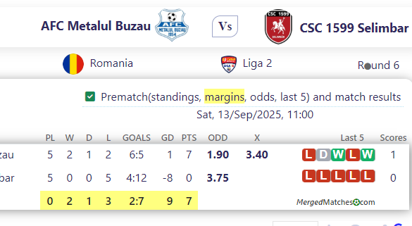 AFC Metalul Buzau Vs CSC 1599 Selimbar screenshot