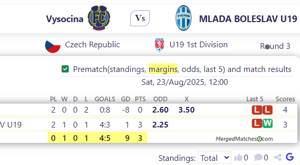 Vysocina Vs MLADA BOLESLAV U19 screenshot