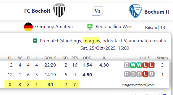 FC Bocholt Vs Bochum II screenshot