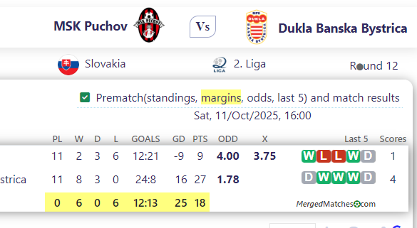 MSK Puchov Vs Dukla Banska Bystrica screenshot