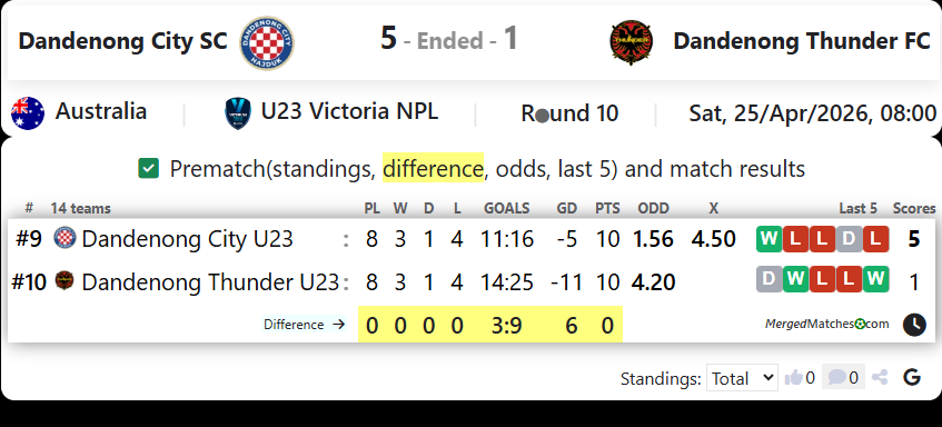 Dandenong City SC Vs Dandenong Thunder FC screenshot
