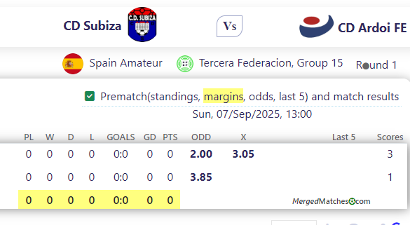 CD Subiza Vs CD Ardoi FE screenshot