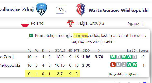 LKS Goczalkowice-Zdroj Vs Warta Gorzow Wielkopolski screenshot