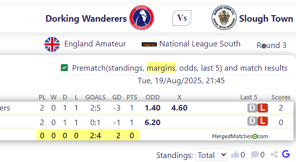 Dorking Wanderers Vs Slough Town screenshot