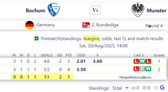 Bochum Vs Munster screenshot