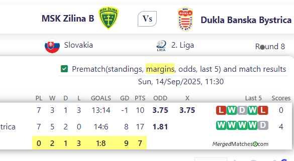 MSK Zilina B Vs Dukla Banska Bystrica screenshot