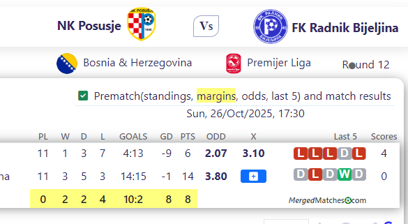 NK Posusje Vs FK Radnik Bijeljina screenshot