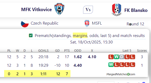 MFK Vitkovice Vs FK Blansko screenshot