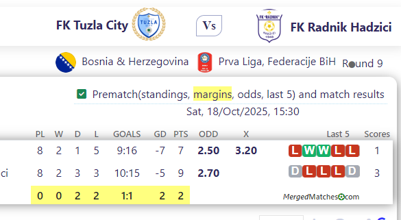 FK Tuzla City Vs FK Radnik Hadzici screenshot