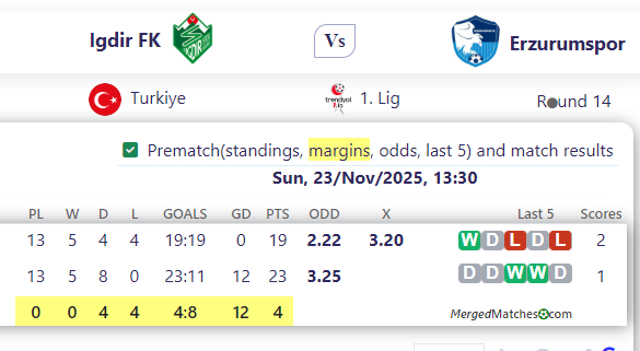 Igdir FK Vs Erzurumspor screenshot