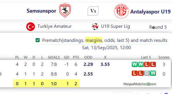 Samsunspor Vs Antalyaspor U19 screenshot