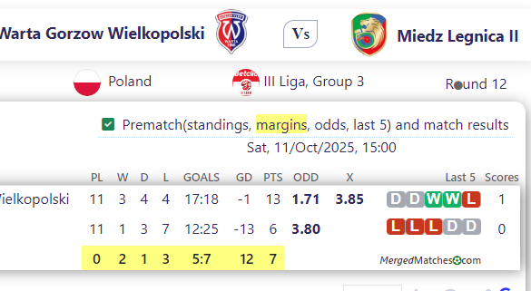Warta Gorzow Wielkopolski Vs Miedz Legnica II screenshot