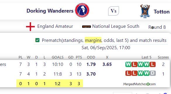 Dorking Wanderers Vs Totton screenshot