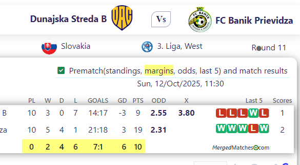 Dunajska Streda B Vs FC Banik Prievidza screenshot