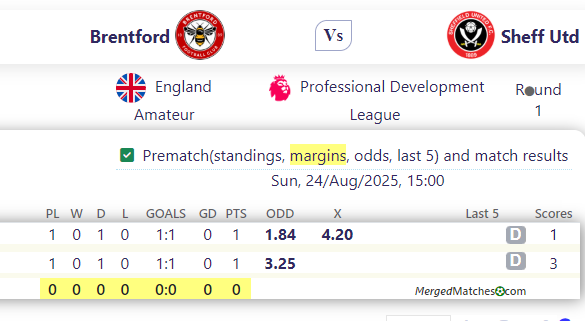 Brentford Vs Sheff Utd screenshot
