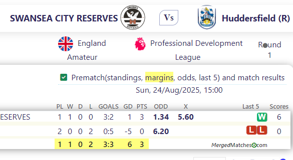SWANSEA CITY RESERVES Vs Huddersfield (R) screenshot