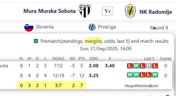 Mura Murska Sobota Vs NK Radomlje screenshot
