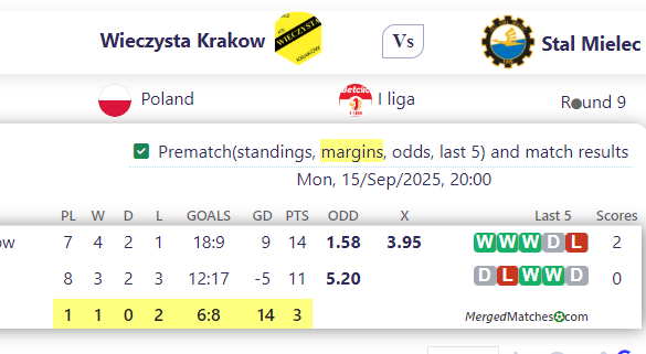 Wieczysta Krakow Vs Stal Mielec screenshot