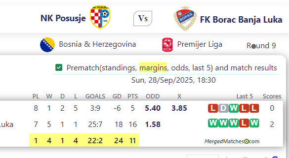 NK Posusje Vs FK Borac Banja Luka screenshot