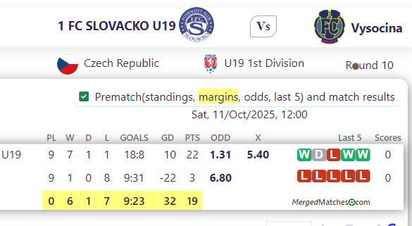 1 FC SLOVACKO U19 Vs Vysocina screenshot