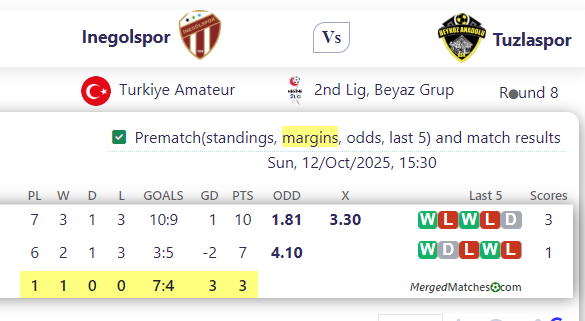 Inegolspor Vs Tuzlaspor screenshot