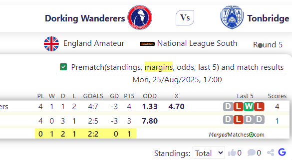 Dorking Wanderers Vs Tonbridge screenshot