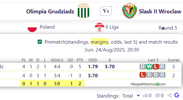 Olimpia Grudziadz Vs Slask II Wroclaw screenshot