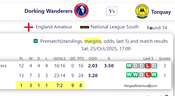 Dorking Wanderers Vs Torquay screenshot