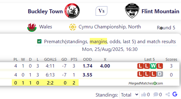 Buckley Town Vs Flint Mountain screenshot