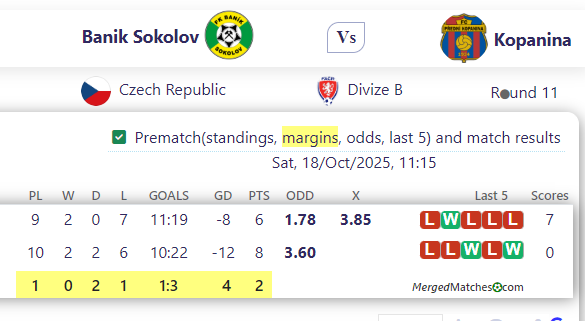 Banik Sokolov Vs Kopanina screenshot