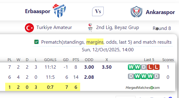 Erbaaspor Vs Ankaraspor screenshot