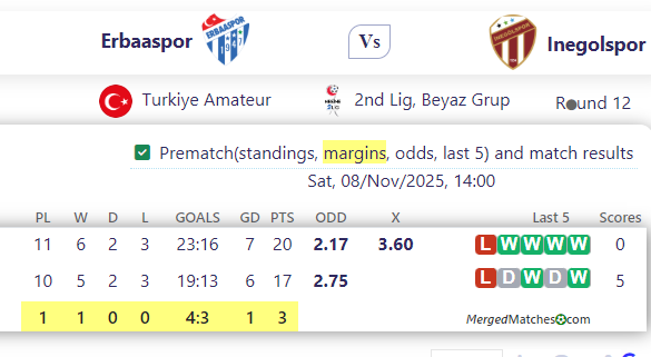 Erbaaspor Vs Inegolspor screenshot