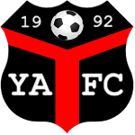 Ynyshir Albions logo