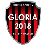 CS Gloria 2018 Bistrita-Nasaud logo