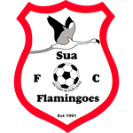 Sua Flamingoes