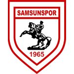 Samsunspor U19 logo