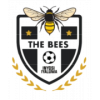 The Bees FC