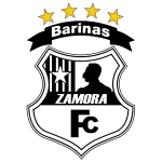 Zamora logo