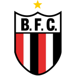 Botafogo U20 logo