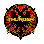 Dandenong Thunder logo