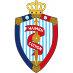 Nantong Haimen Codion logo